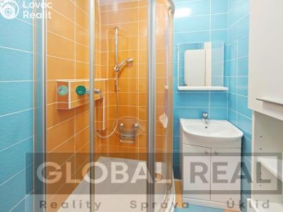 Rent apartment 1+1 Jihlava, U Pivovaru č. 2