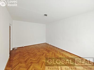 Rent apartment 1+1 Jihlava, U Pivovaru č. 4