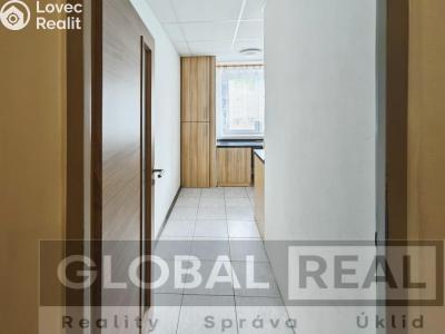 Rent apartment 1+1 Jihlava, U Pivovaru č. 5