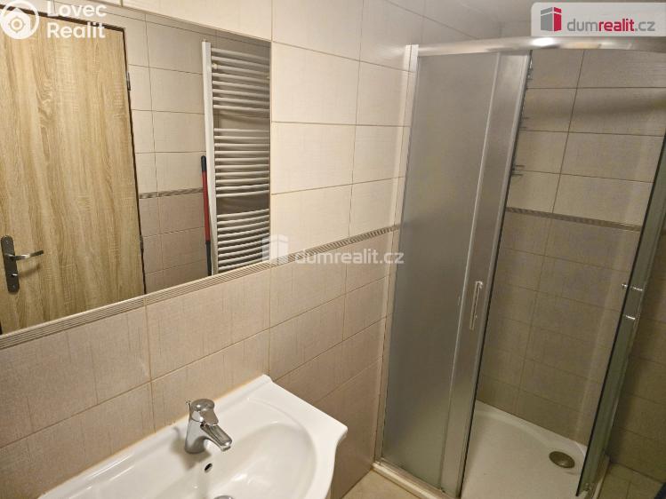 Аренда семейного дома Dolní Bousov č. 19