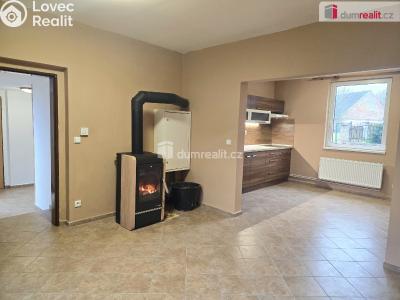 Pronájem rodinného domu Dolní Bousov č. 4