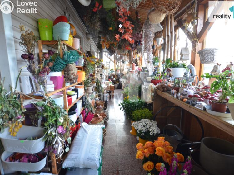 Аренда торгового помещеня Ledeč nad Sázavou, Mostecká č. 6