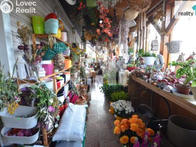 Аренда торгового помещеня Ledeč nad Sázavou, Mostecká č. 6