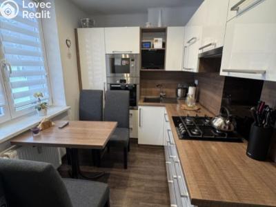 Продажа квартиры 2+1 Tachov, Hornická č. 4