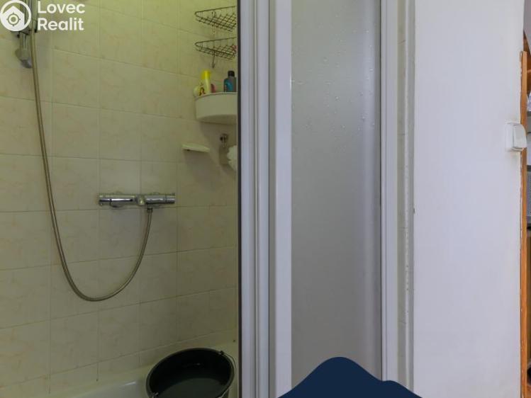 Prodej rodinného domu Čelákovice, Zájezd č. 38