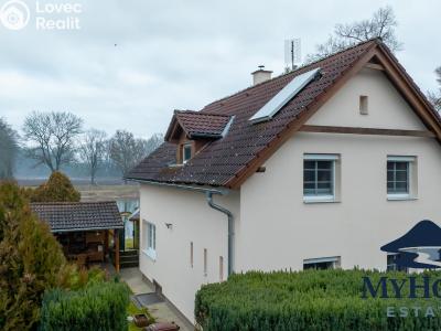 Prodej rodinného domu Čelákovice, Zájezd č. 2