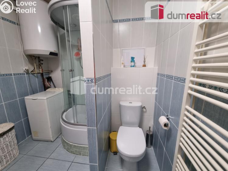 Pronájem bytu 3+1 Lošany č. 10