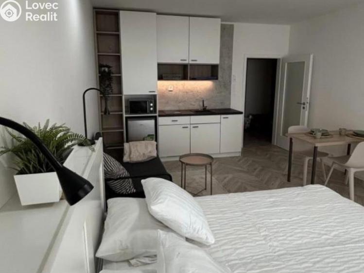 Pronájem bytu 1+KK Brno č. 1