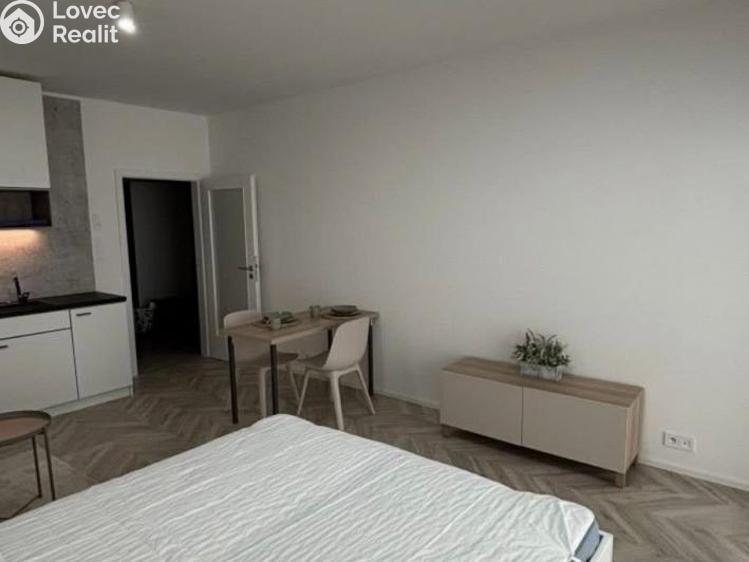 Pronájem bytu 1+KK Brno č. 3