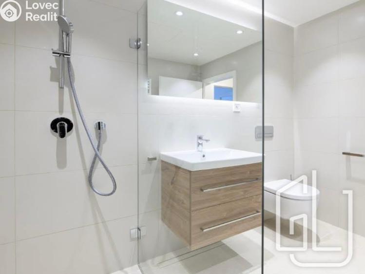 Pronájem bytu 1+KK Brno č. 6