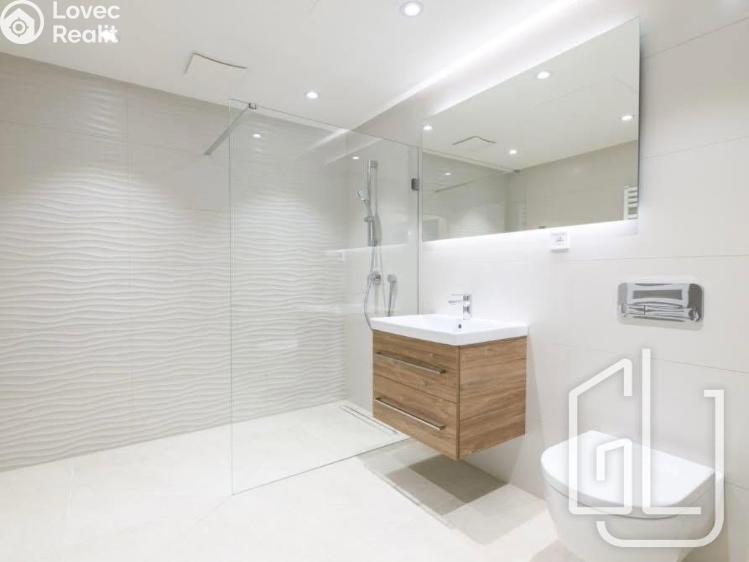 Pronájem bytu 1+KK Brno č. 7