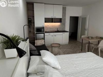 Pronájem bytu 1+KK Brno č. 1