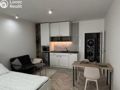 Pronájem bytu 1+KK Brno č. 2