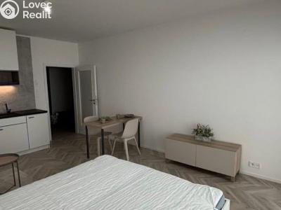 Pronájem bytu 1+KK Brno č. 3