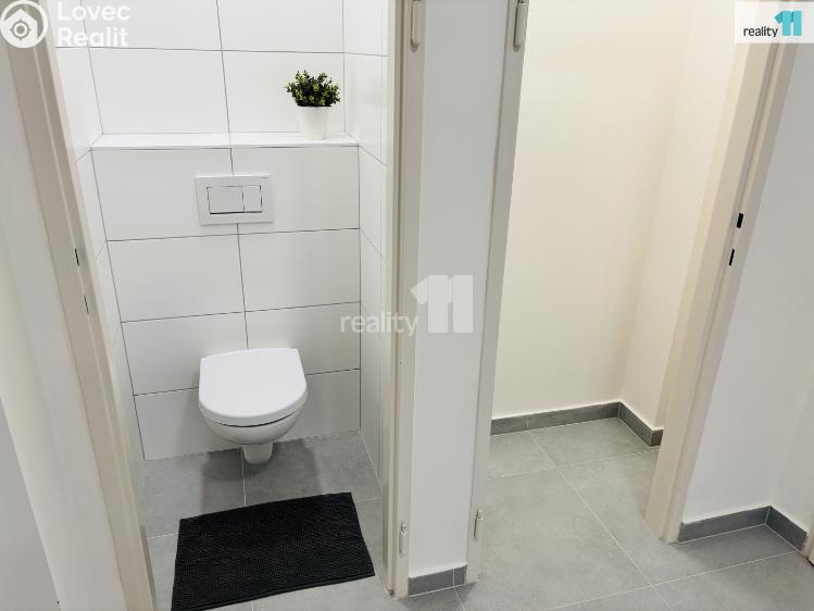 Pronájem bytu 3+KK Praha 3, Biskupcova č. 10