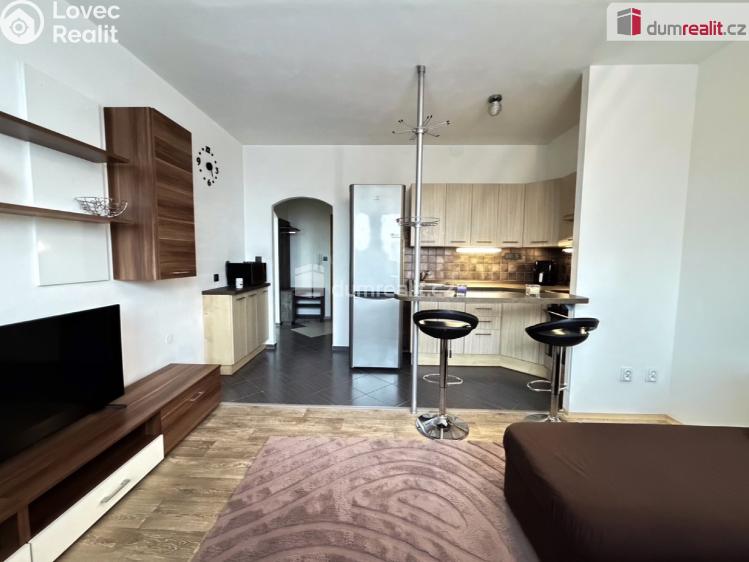 Prodej bytu 2+KK Ústí nad Labem, Ježkova č. 18