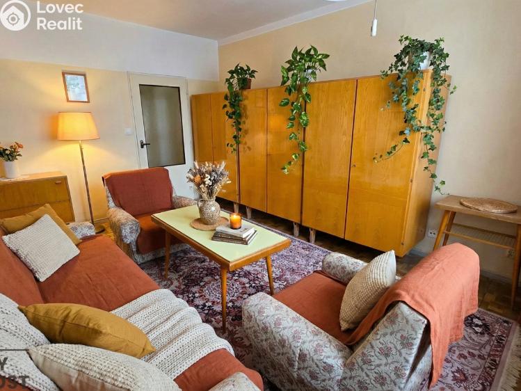 Sale apartment 2+1 Ivanovice na Hané, Mlýnská 743/19 č. 9