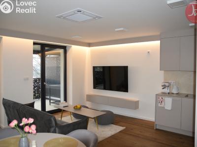 Pronájem bytu 2+KK Soběšovice č. 4