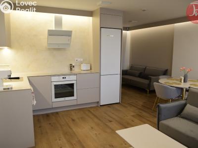 Оренда квартири 2+KK Soběšovice č. 3