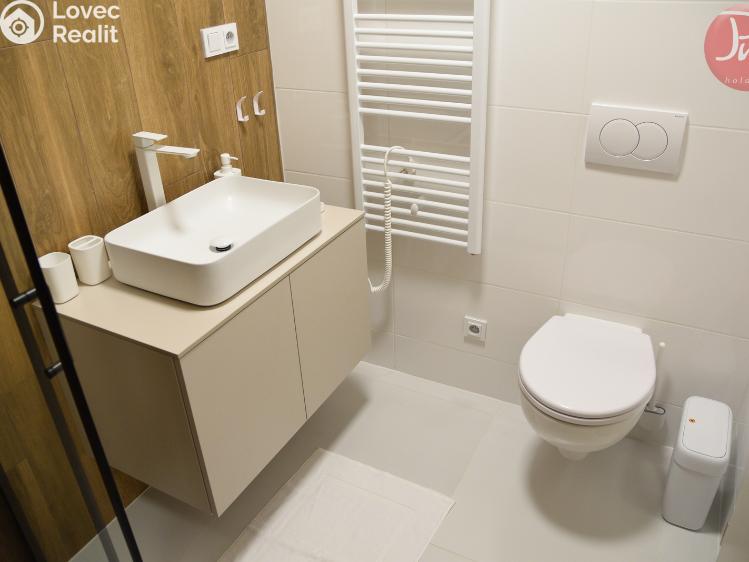 Rent apartment 2+KK Soběšovice č. 12