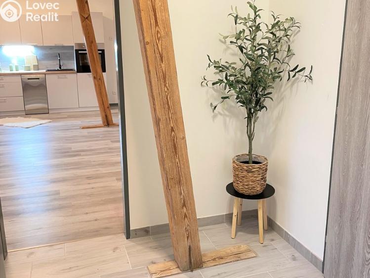 Pronájem bytu 2+KK Borovany č. 6