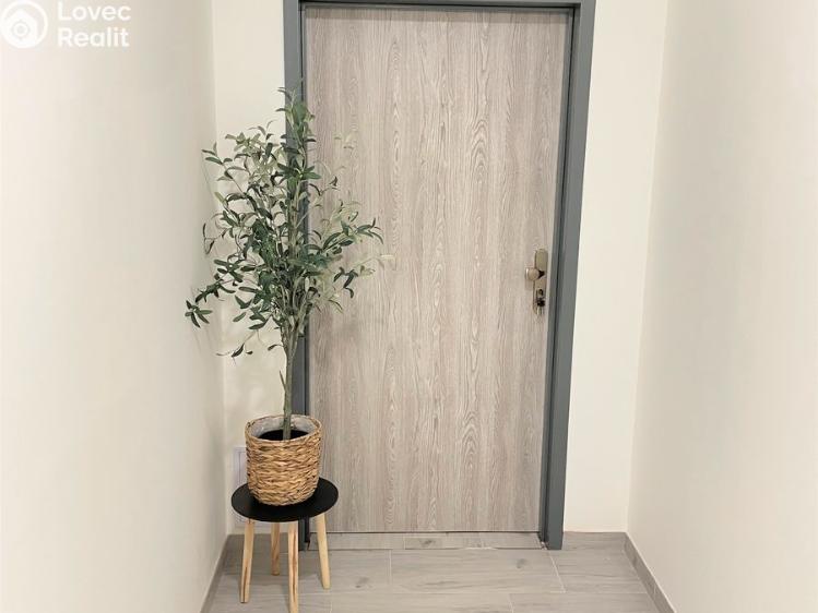 Pronájem bytu 2+KK Borovany č. 7