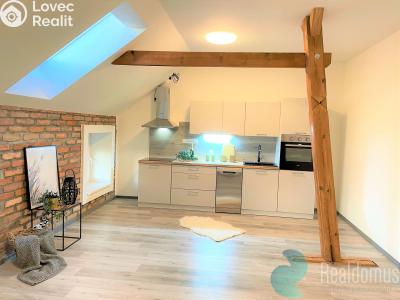 Pronájem bytu 2+KK Borovany č. 1