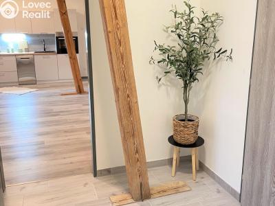 Pronájem bytu 2+KK Borovany č. 6
