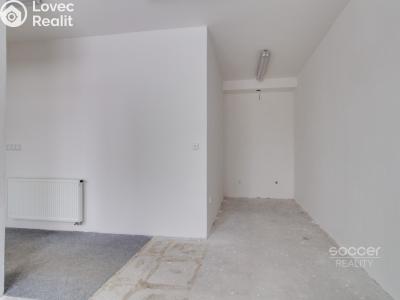 Rent apartment 2+KK Praha, Mezihoří č. 5
