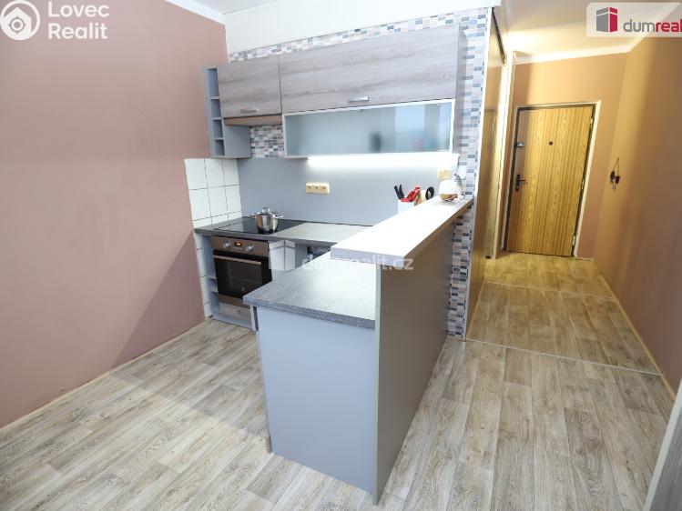 Pronájem bytu 1+1 Sokolov, Křížová č. 1