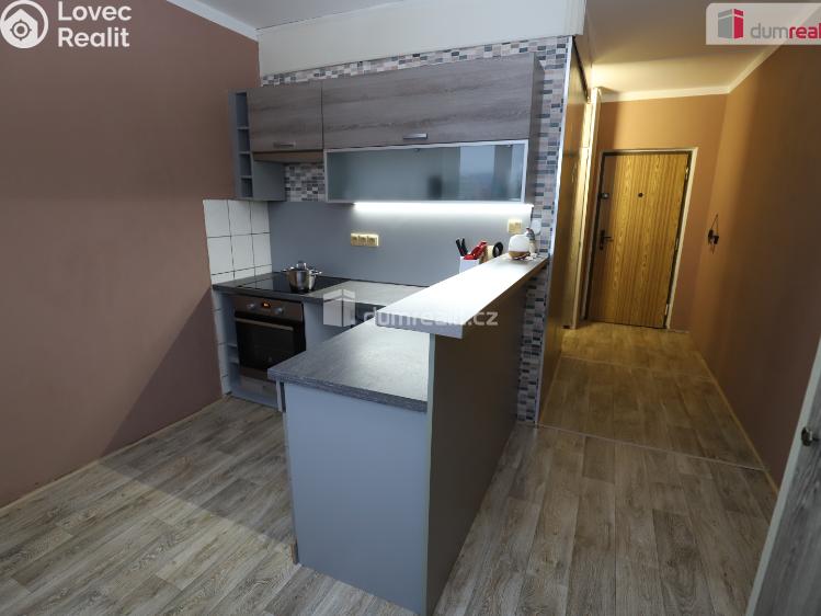 Pronájem bytu 1+1 Sokolov, Křížová č. 3