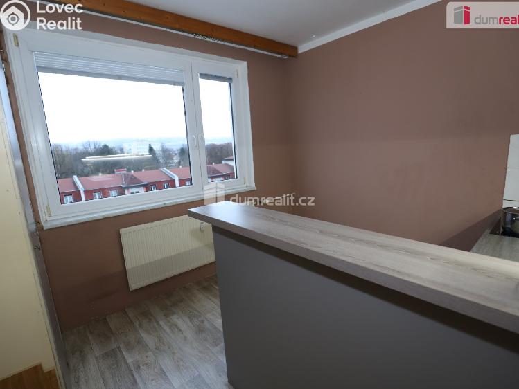 Pronájem bytu 1+1 Sokolov, Křížová č. 4