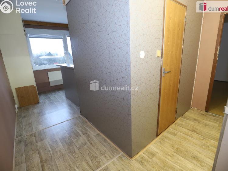 Pronájem bytu 1+1 Sokolov, Křížová č. 13