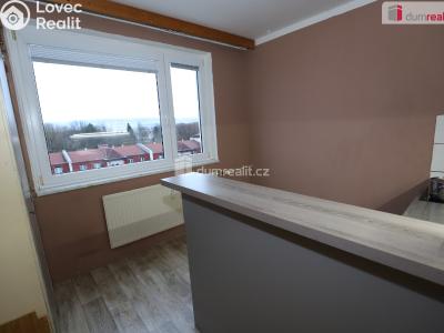 Pronájem bytu 1+1 Sokolov, Křížová č. 4