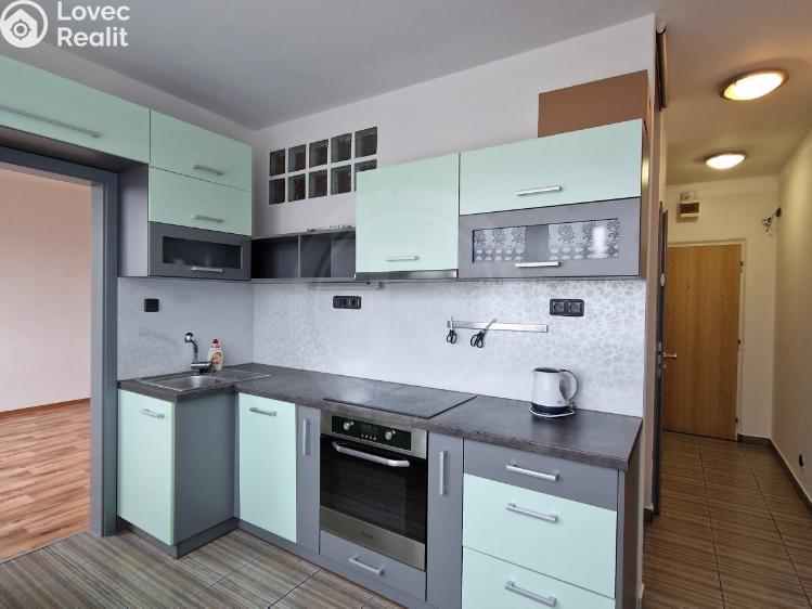 Pronájem bytu 2+1 České Budějovice, Jar. Haška 2128/20 č. 1