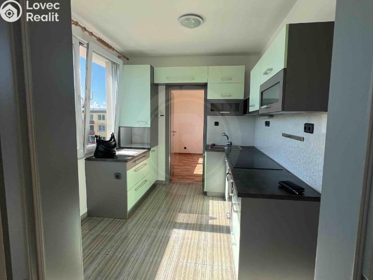 Pronájem bytu 2+1 České Budějovice, Jar. Haška 2128/20 č. 3