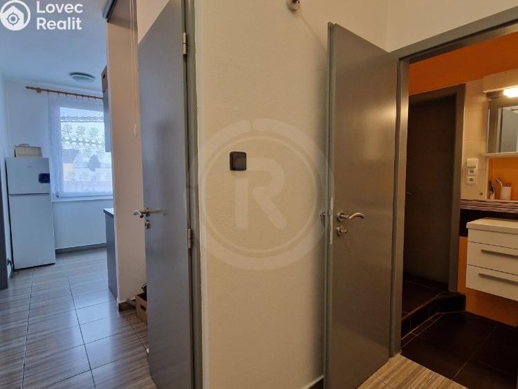 Pronájem bytu 2+1 České Budějovice, Jar. Haška 2128/20 č. 9