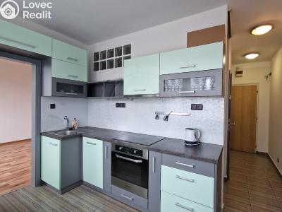 Pronájem bytu 2+1 České Budějovice, Jar. Haška č. 1