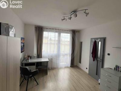 Pronájem bytu 2+1 České Budějovice, Jar. Haška č. 6