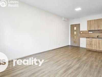 Pronájem bytu 1+KK Opava, Hany Kvapilové č. 1