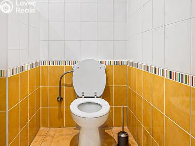 Pronájem bytu 1+KK Opava, Nákladní č. 5