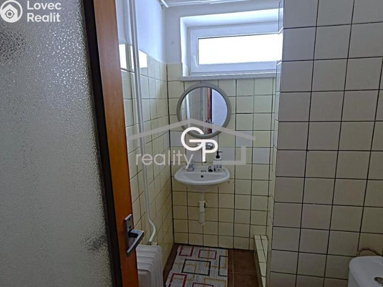 Pronájem bytu 1+1 Vidov č. 5