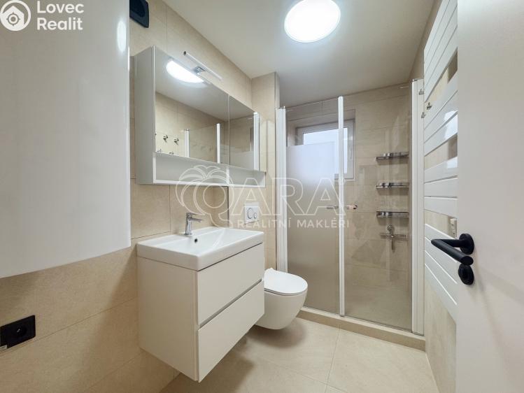 Pronájem bytu 2+1 České Budějovice, Nerudova 991/2 č. 9