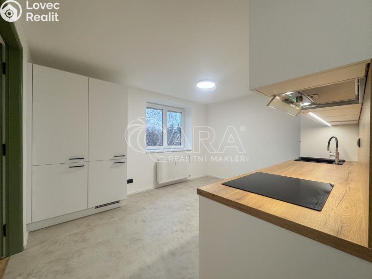 Pronájem bytu 2+1 České Budějovice, Nerudova 991/2 č. 12