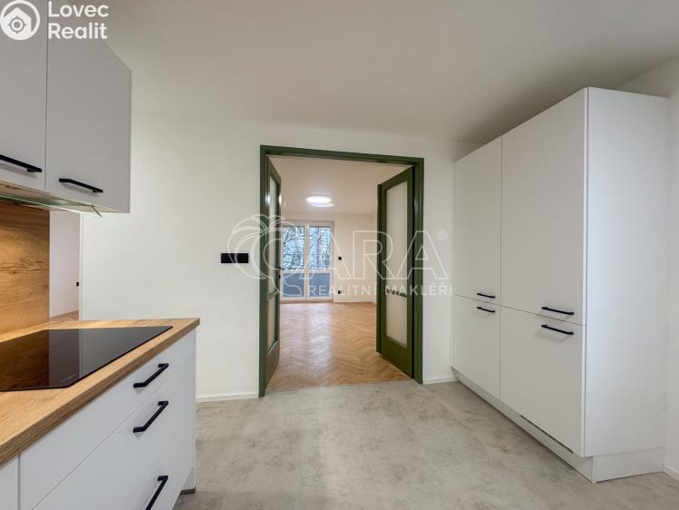 Pronájem bytu 2+1 České Budějovice, Nerudova 991/2 č. 15