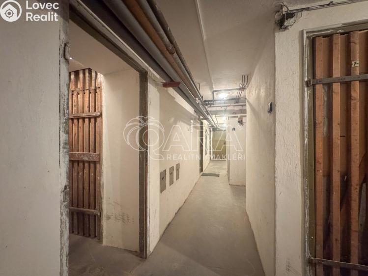 Pronájem bytu 2+1 České Budějovice, Nerudova 991/2 č. 21