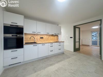 Pronájem bytu 2+1 České Budějovice, Nerudova č. 1