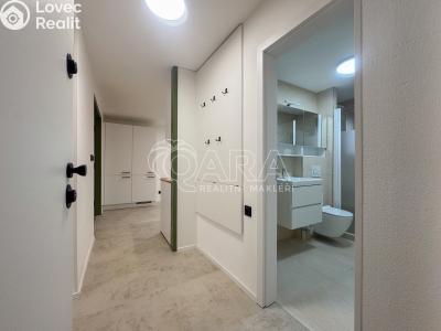 Pronájem bytu 2+1 České Budějovice, Nerudova č. 4