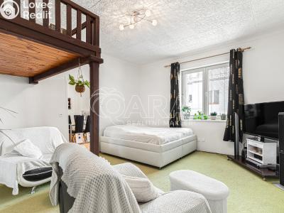 Prodej bytu 1+1 Praha, Evropská č. 6