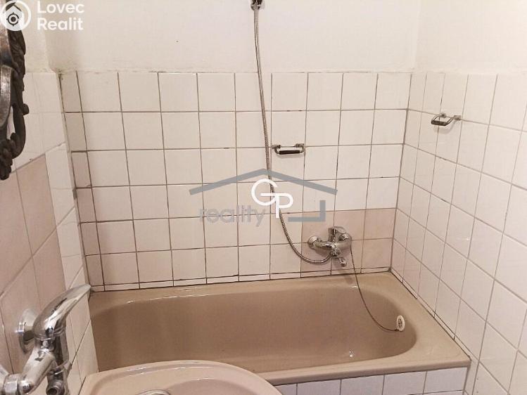 Pronájem bytu 1+1 České Budějovice, Fráni Šrámka č. 5